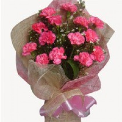 24 Pink Carnations